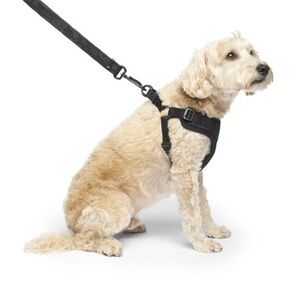 Canada Pooch Easy-On Step-In Harness